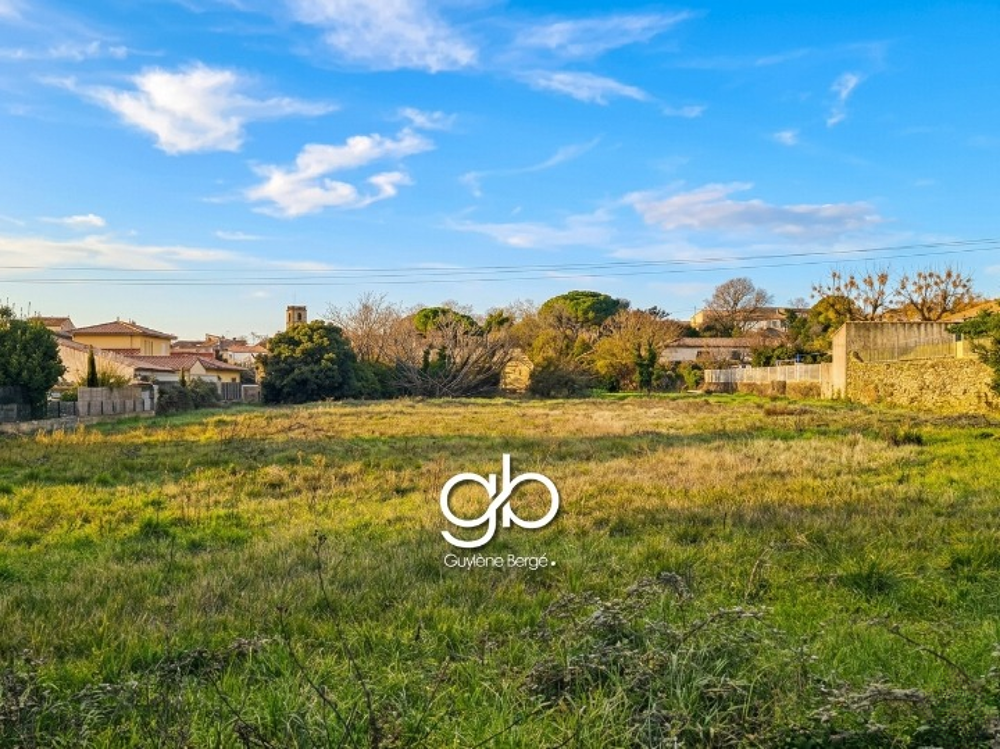 Vente Terrain TERRAIN À BÂTIR 5 930 M2 À ALIGNAN-DU-VENT   FONCIER POUR PROJET IMMOBILIER PROCHE PÉZENAS Alignan du vent