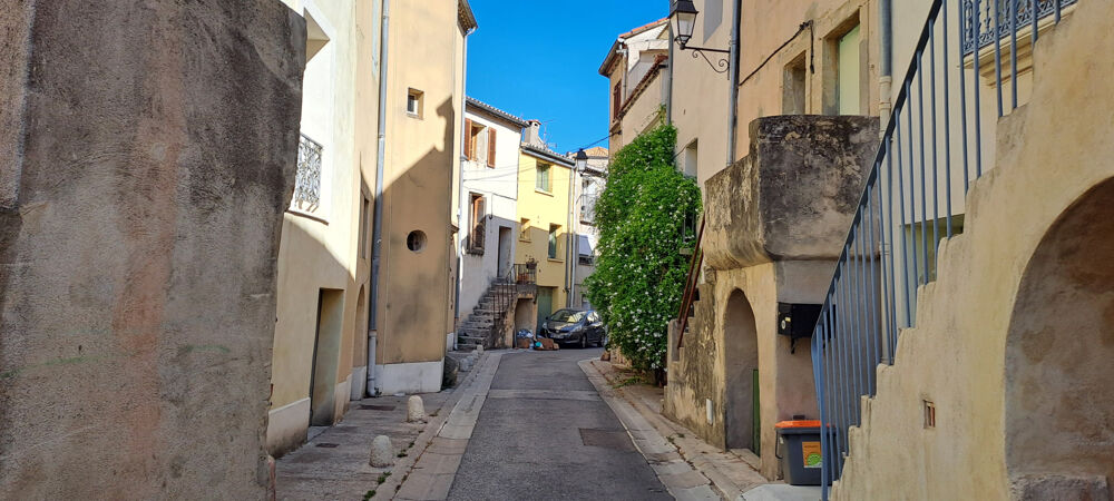 Montpellier Maison vigneronne du XVIIIe avec terrasse, jardin et cave voûtée Celleneuve Village
