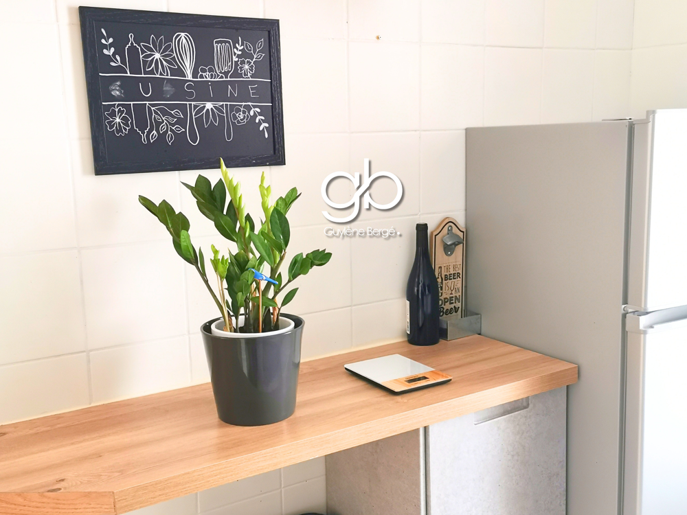 Vente Appartement APPARTEMENT -  JARDIN PRIVATIF TERRASSE  CAVE ET PARKING - MONTPELLIER CÉVENNES Montpellier