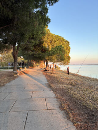  Appartement � vendre 4 pi�ces 89 m�