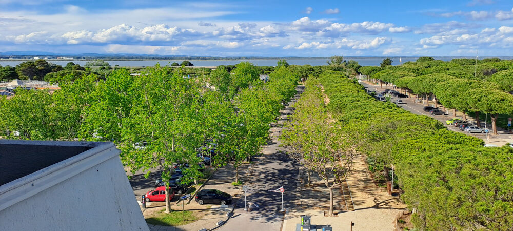 Vente Appartement Appartement T2 Carnon Port avec Loggia et Vue Dégagée Carnon plage
