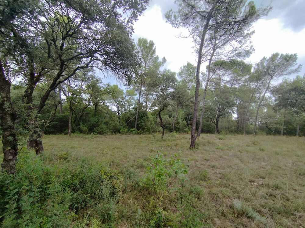 Vente Terrain TERRAIN NATUREL 4,7 HECTARES   FONTANÈS   PIC SAINT-LOUP Fontanes