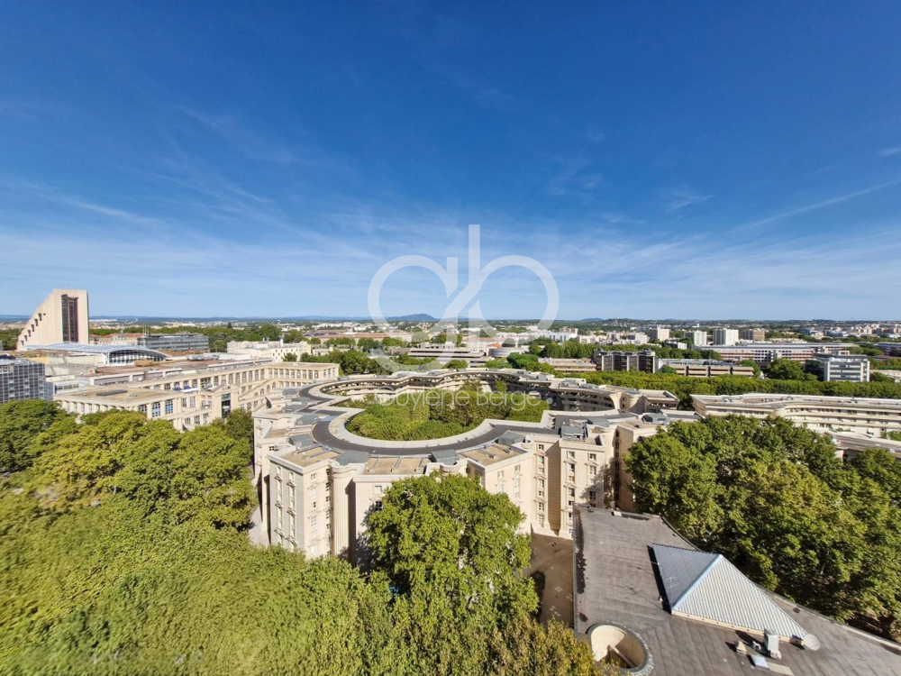 Vente Appartement Appartement lumineux en centre ville - 84 m2 - 4 pièces Montpellier