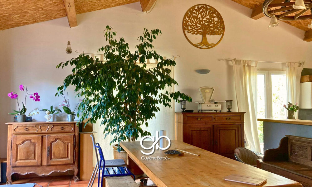 Vente Maison MAISON À VENDRE PROCHE SOMMIÈRES AVEC TERRAIN POUR CHEVAUX   2 LOGEMENTS AVEC REVENUS, PISCINE ET HANGAR Boisseron