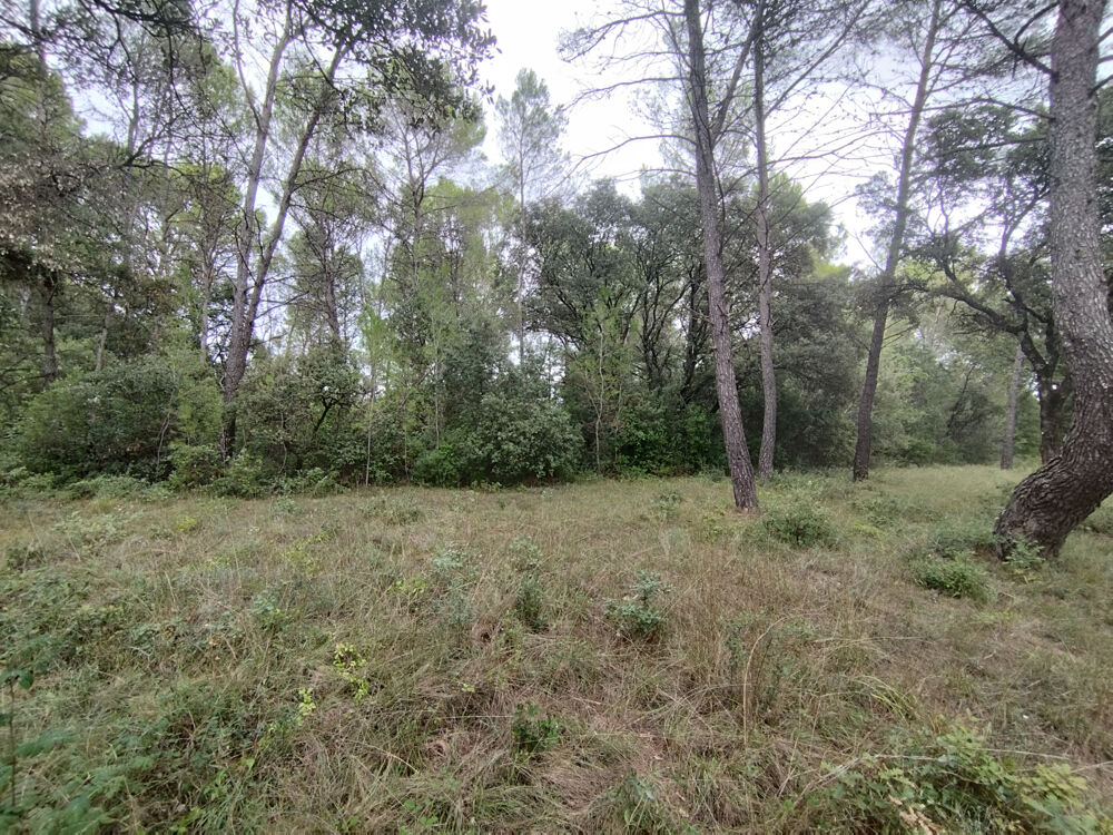 Vente Terrain TERRAIN NATUREL 4,7 HECTARES   FONTANÈS   PIC SAINT-LOUP Fontanes
