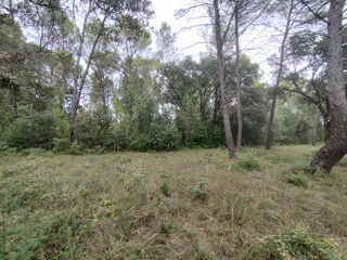 Vente Terrain TERRAIN NATUREL 4,7 HECTARES   FONTANÈS   PIC SAINT-LOUP Fontanes