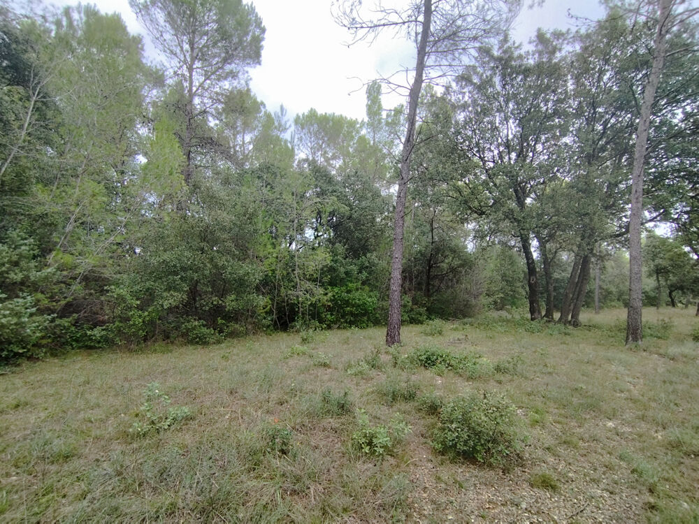 Vente Terrain TERRAIN NATUREL 4,7 HECTARES   FONTANÈS   PIC SAINT-LOUP Fontanes