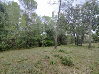 Vente Terrain TERRAIN NATUREL 4,7 HECTARES   FONTANÈS   PIC SAINT-LOUP Fontanes