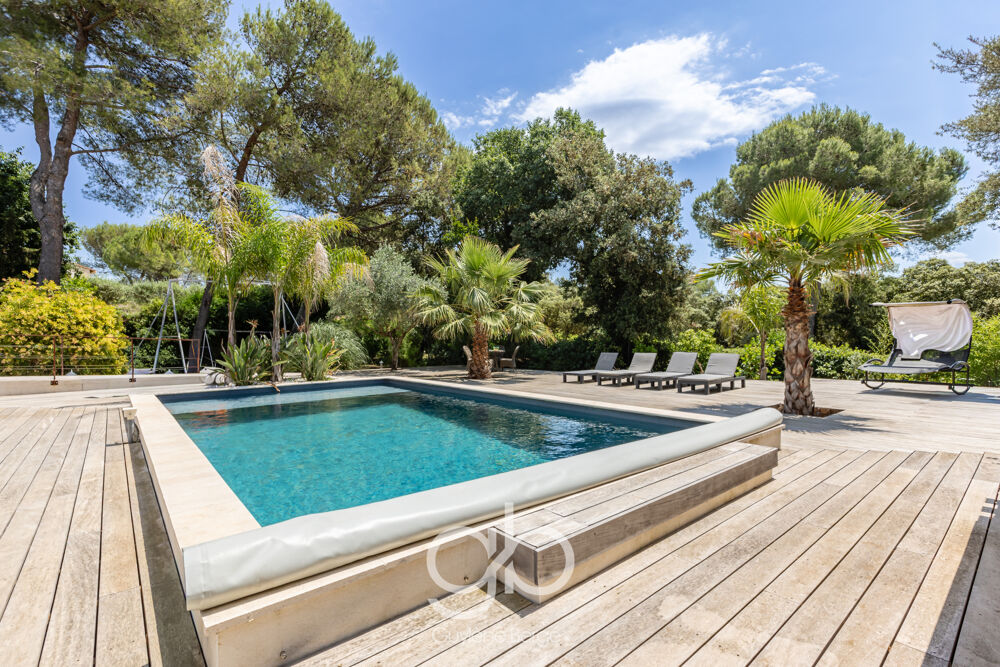 Vente Maison Maison 247m2 avec 2 dépendances sur 1500m2 de terrain Piscine pool House Aubais