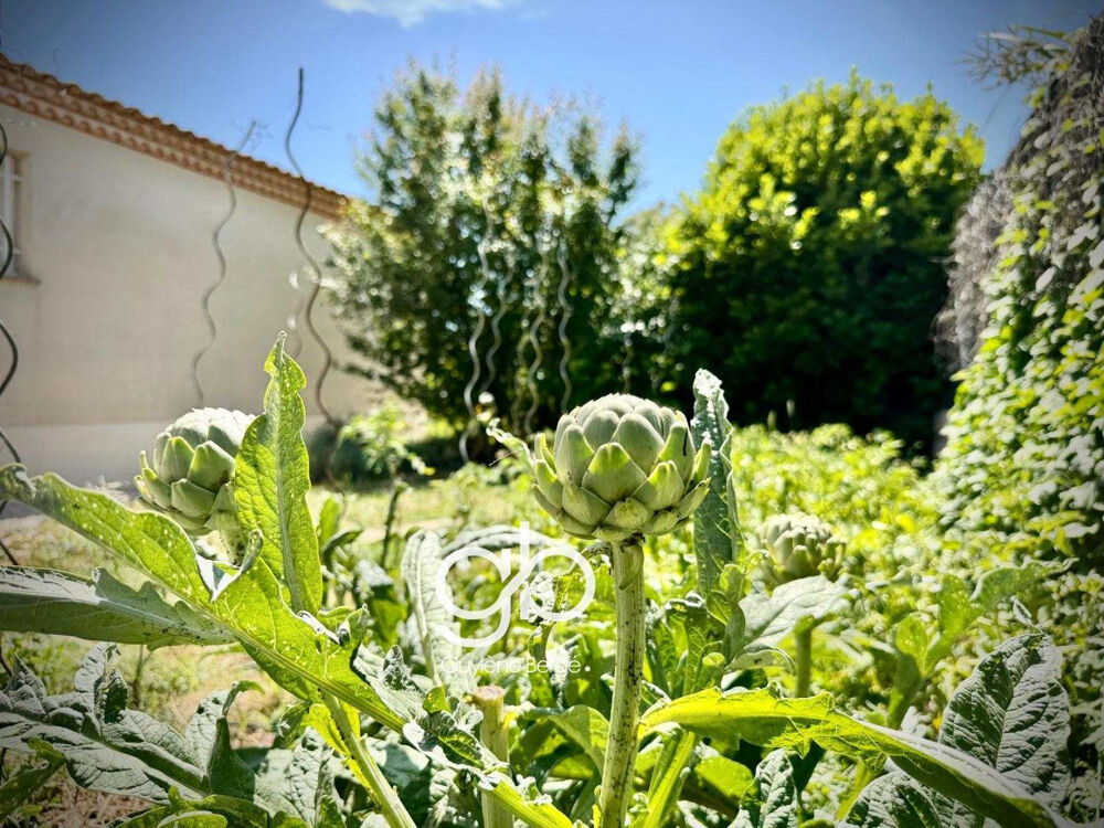 � vendre  Maison Teyran (34820)