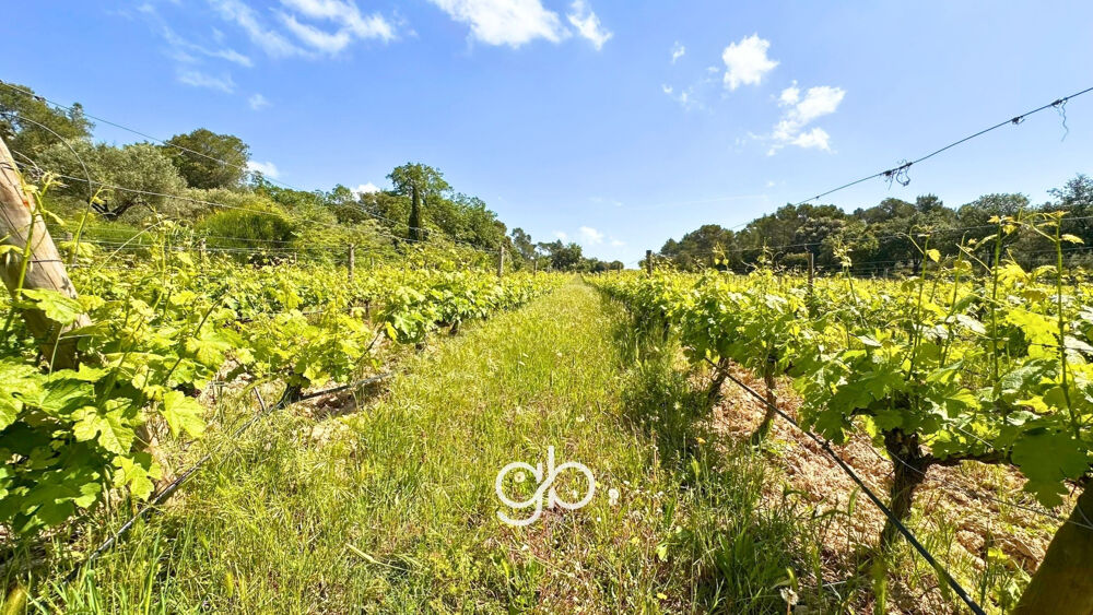 Vente Maison DOMAINE VITICOLE DE 60 HECTARES ENTRE SOMMIÈRES ET MONTPELLIER Sommieres