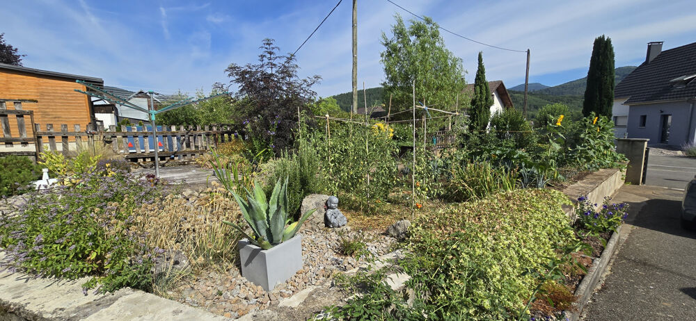 Grande maison familiale avec possibilité de gîte ou dhabitation bifamiliale
