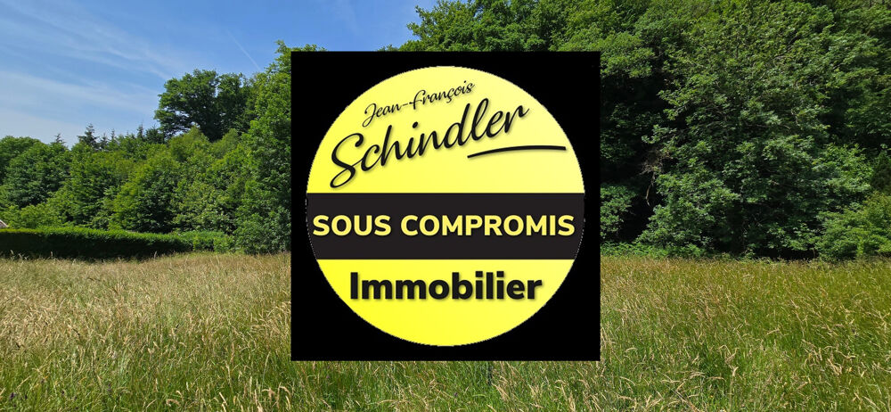 Vente Terrain PARCELLE DE TERRAIN AU CALME EN PLEINE NATURE Etueffont