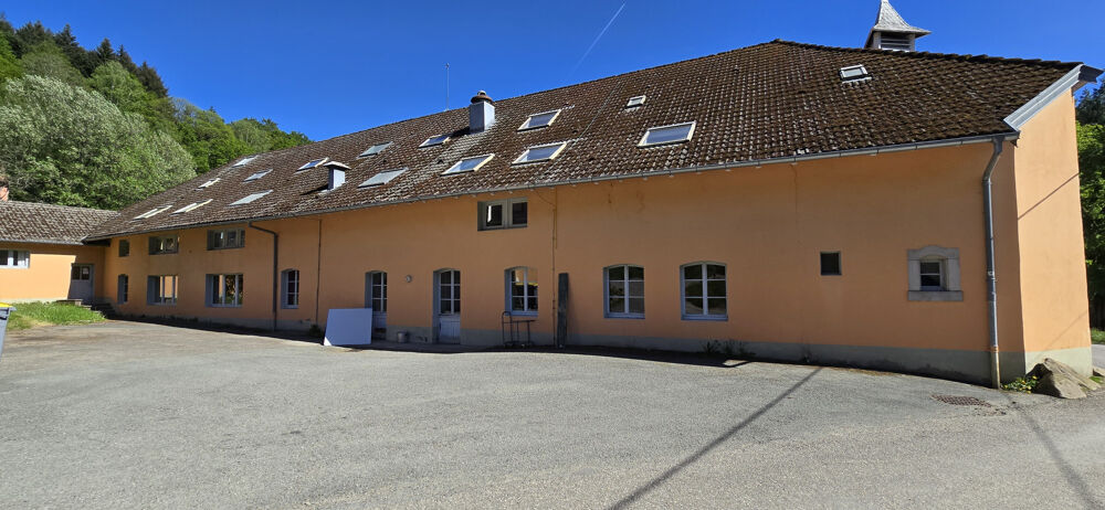Vente Immeuble SPÉCIAL INVESTISSEURS IMMEUBLE D'UN ANCIEN CENTRE EDUCATIF ET SCOLAIRE St germain le chatelet