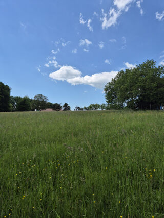  Terrain � vendre 4165 m�