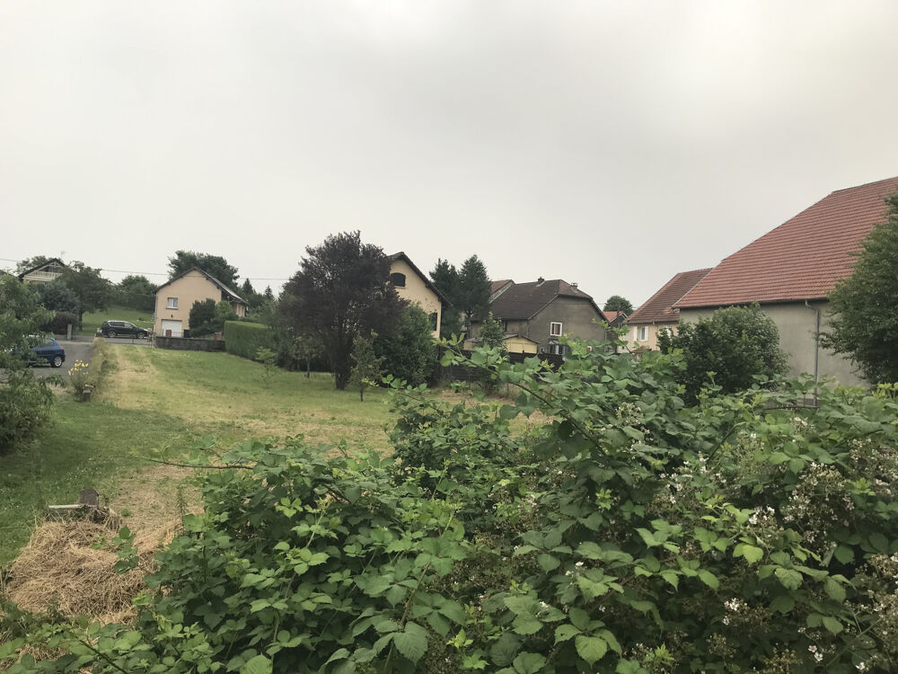 Vente Terrain À vendre  : terrain constructible de 11,13 ares Arcey