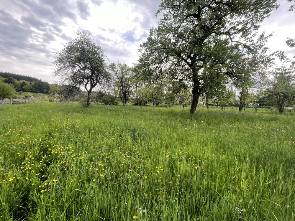 Vente Terrain Etueffont Etueffont