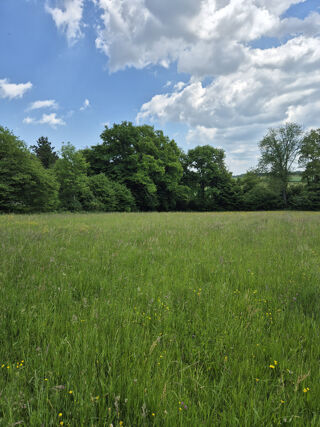  Terrain � vendre 4165 m�