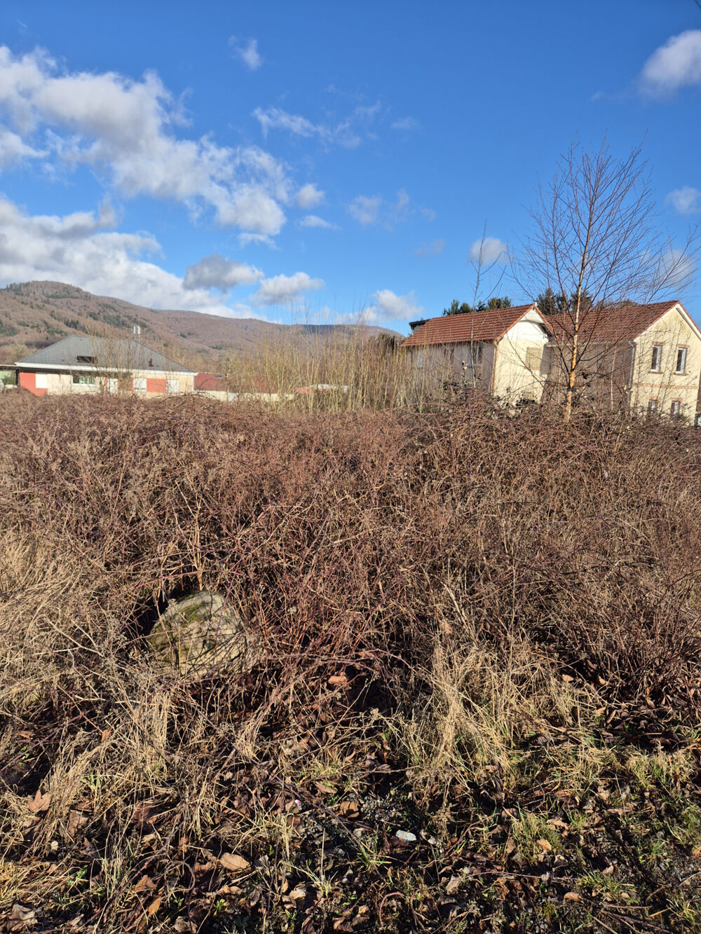 Vente Terrain Terrain constructible de 10 ares Giromagny   Un cadre idéal pour votre futur projet de vie Giromagny
