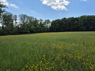  Terrain  vendre 4165 m