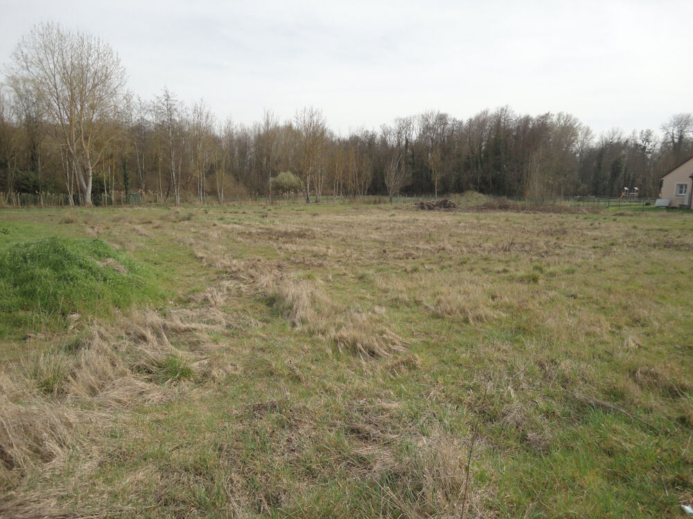 Vente Terrain Terrain constructible de 1342 m2 Guerchy