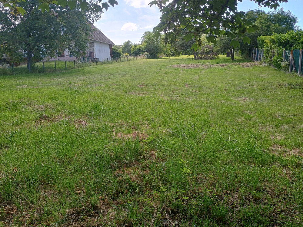 Vente Terrain Terrain constructible à Aillant-Sur-Tholon Aillant sur tholon