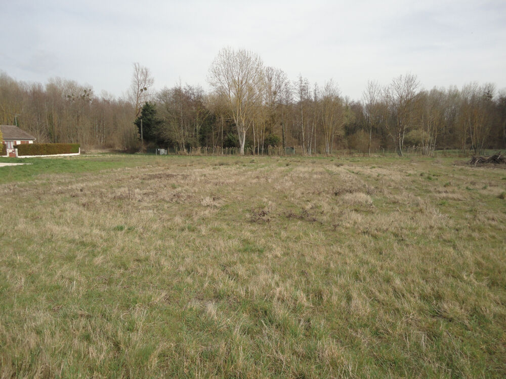 Vente Terrain Terrain constructible de 1290m2 Guerchy