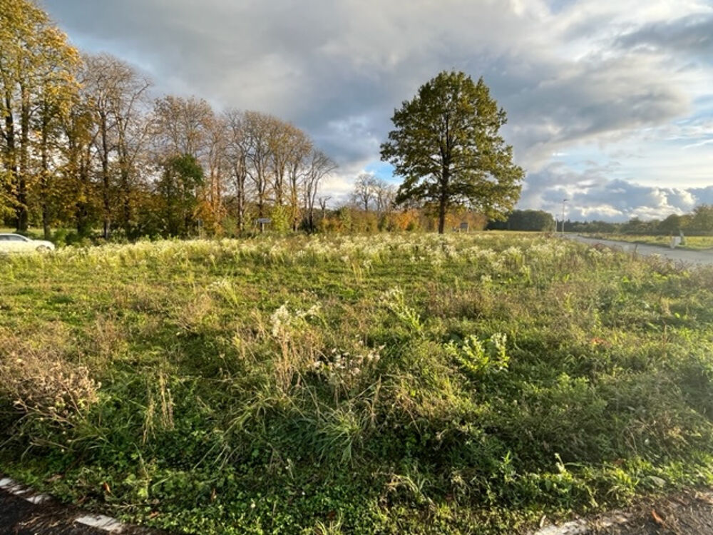Vente Terrain Terrain à bâtir de 572 m2 Seignelay