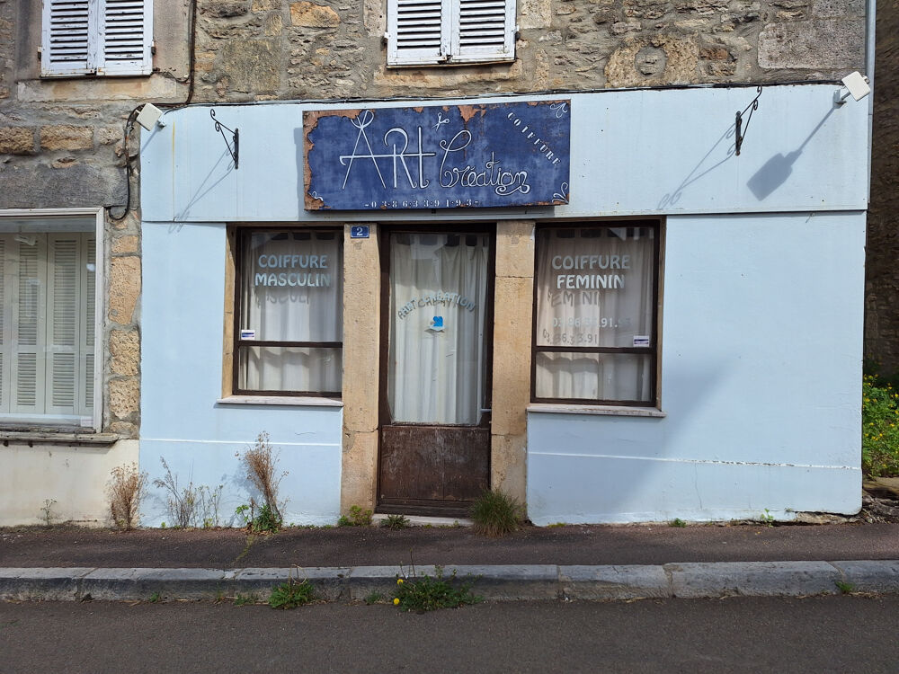 L'Isle-sur-Serein (89) - Ensemble immobilier (maison + commerce) au coeur du village