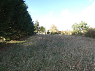  Terrain � vendre 1339 m�