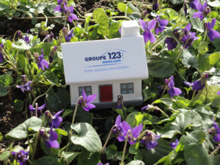  Terrain � vendre 1000 m�