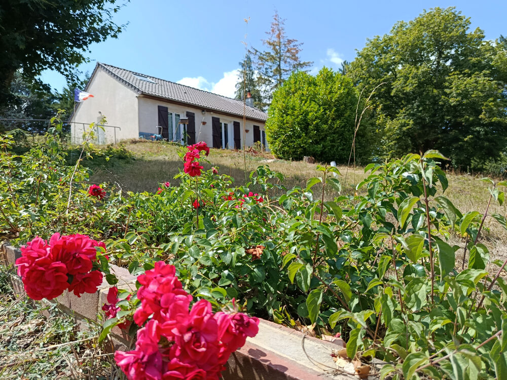 Pavillon Rénové de 98 m2 Terrain Arboré de 3 320 m2 Proche Charny / Accès A6