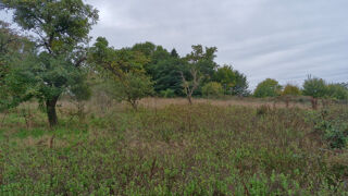  Terrain à vendre 4055 m²