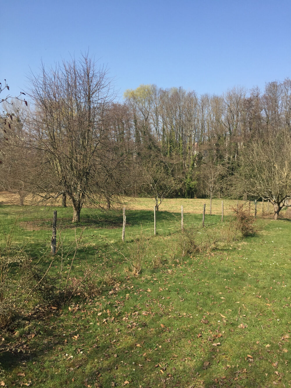 Vente Terrain BEAUVOIR (89240) Beauvoir