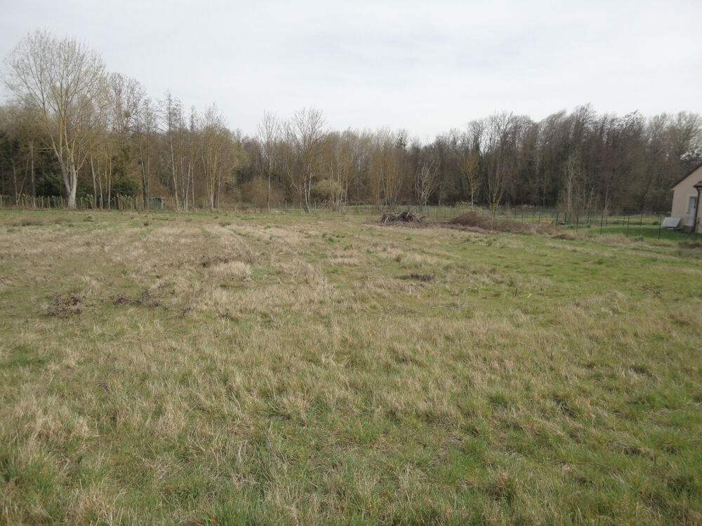 Vente Terrain Terrain constructible de 1342 m2 Guerchy
