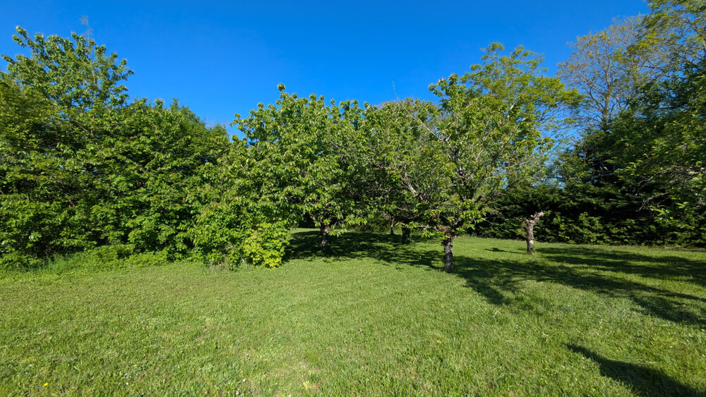 Vente Terrain Cadre verdoyant pour votre future maison Appoigny