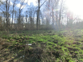  Terrain � vendre 729 m�