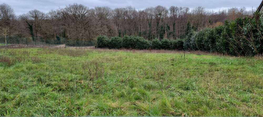 Vente Terrain PROCHE D'AUXERRE Lindry