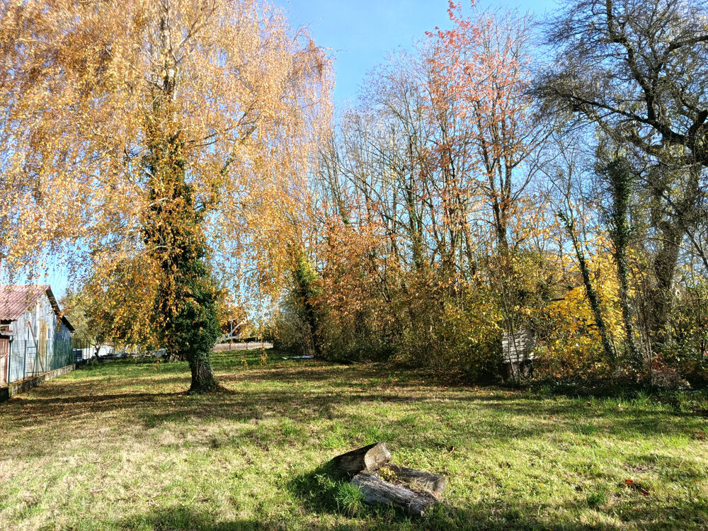 Vente Maison Maison à rénover, 5 chambres, dépendances et jardin Les ormes