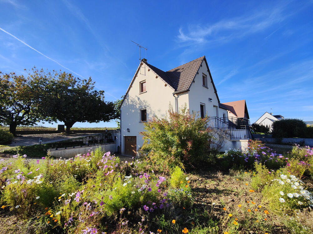 Vente Maison Rare : 6 chambres, vue sur champs, deux garages Laroche st cydroine