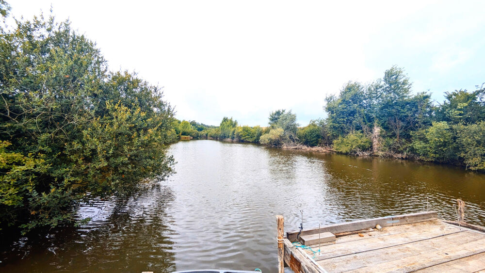 Vente Terrain Étang sur terrain arboré Chichery