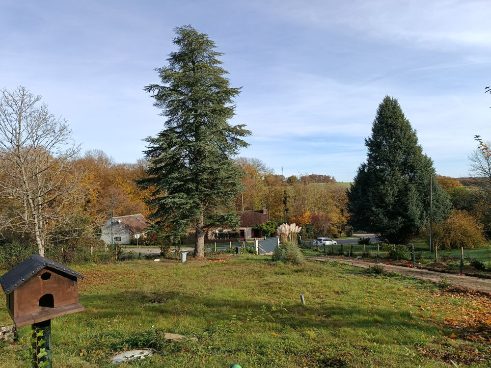 Pavillon Rénové de 98 m2 Terrain Arboré de 3 320 m2 Proche Charny / Accès A6