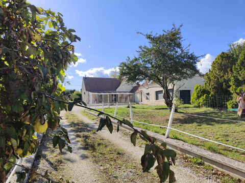   Maison de 250 m2 dans un havre de paix - 2,4 hectares de terrain. Maison - 7 pice(s) - 253 m