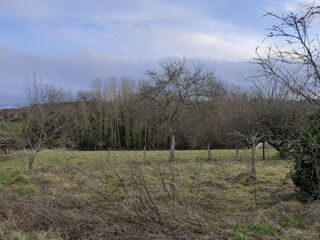  Terrain � vendre 8254 m�