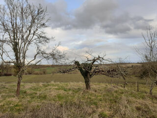  Terrain � vendre 8254 m�