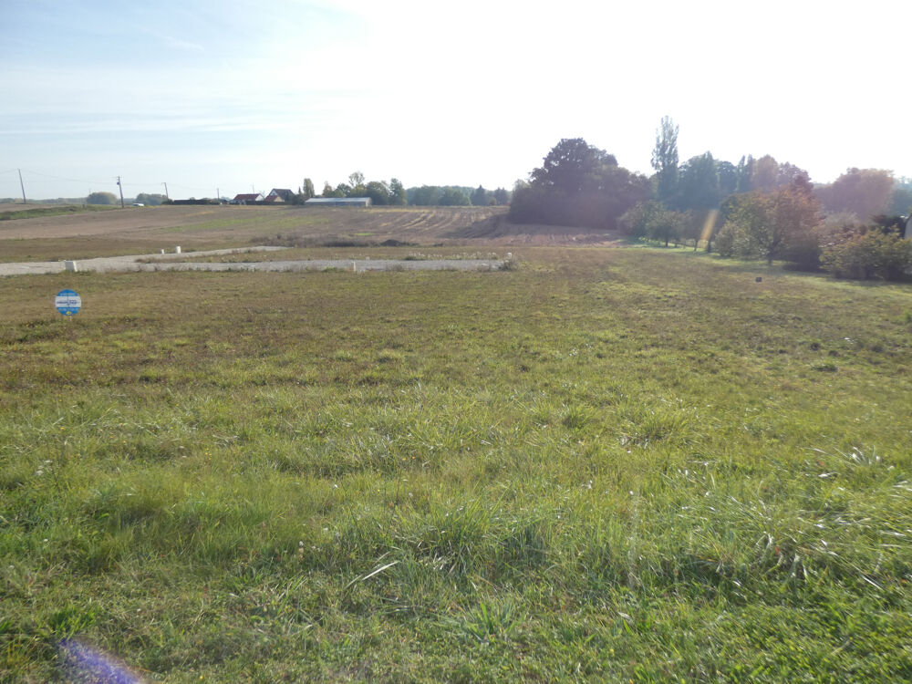 Vente Terrain Terrain de 600 m2 en vente à GUERCHY Guerchy