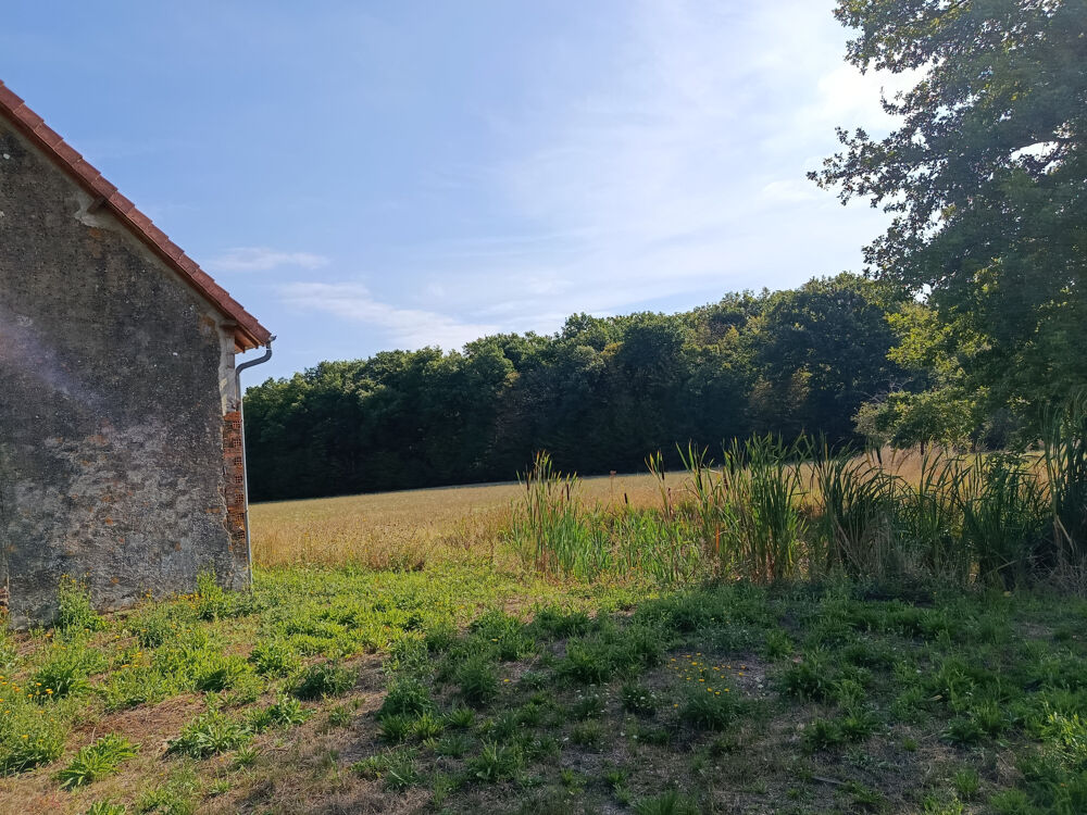 Granges 180 m2 au sol, toitures neuves à aménager sur un terrain 3645 m2.