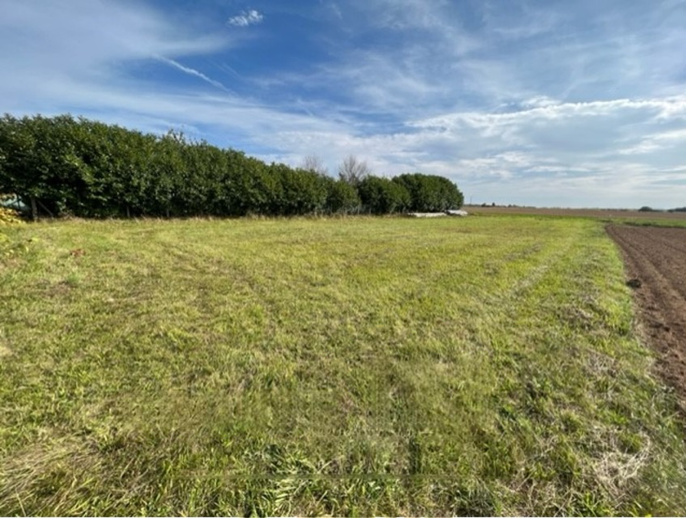 Vente Terrain Terrain constructible de 1317 m2 à BEAUMONT Beaumont