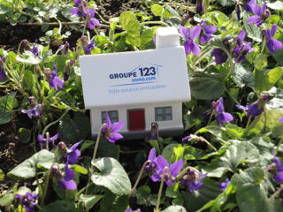  Terrain � vendre 765 m�