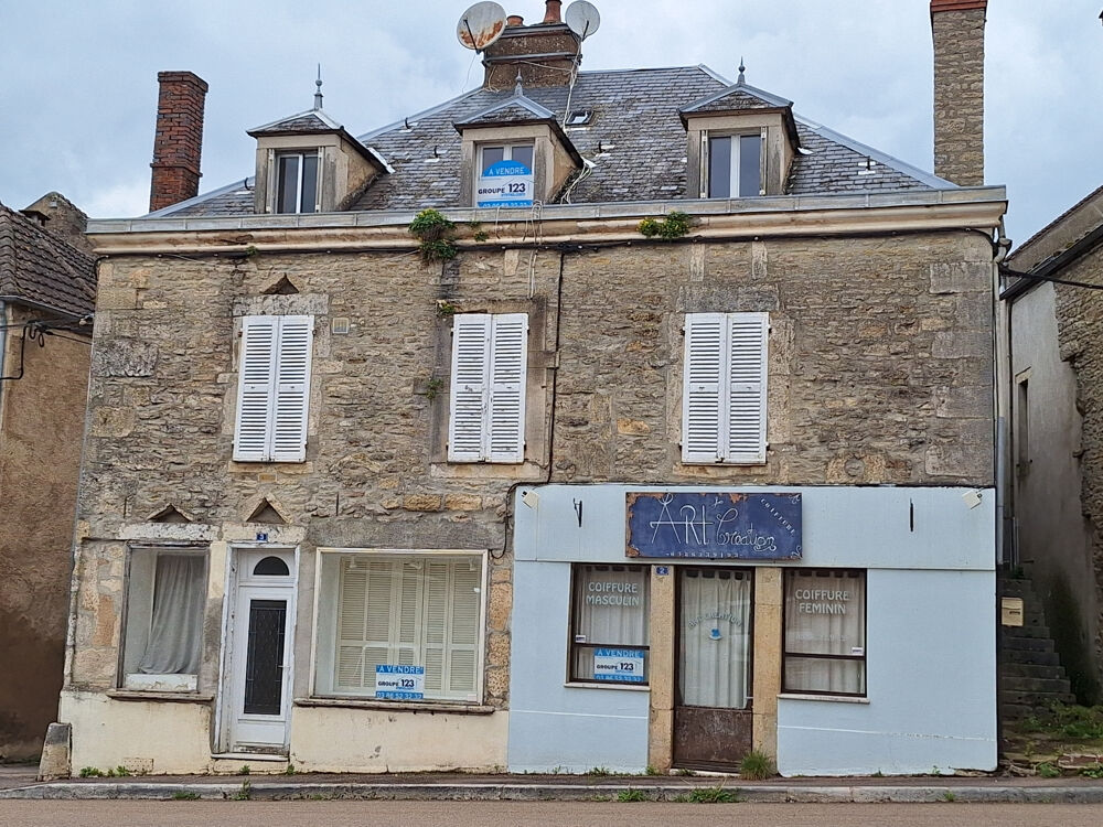 L'Isle-sur-Serein (89) - Ensemble immobilier (maison + commerce) au coeur du village